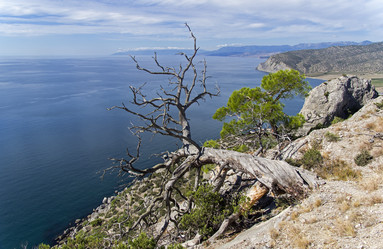 Similar image 21075237