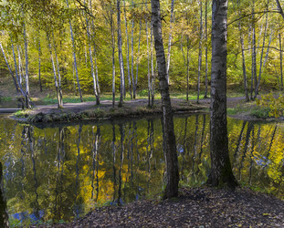 Similar image 21075239