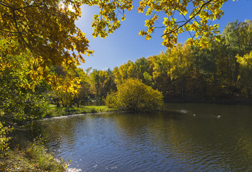 Similar image 21075240