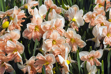 Similar image 21075256