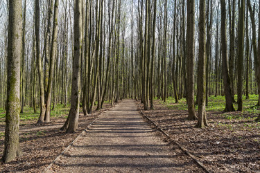 Similar image 21075259