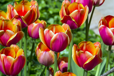 Similar image 21075260