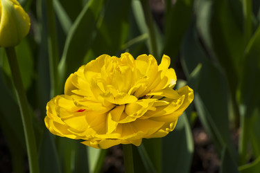 Similar image 21075261