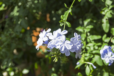 Similar image 21075262