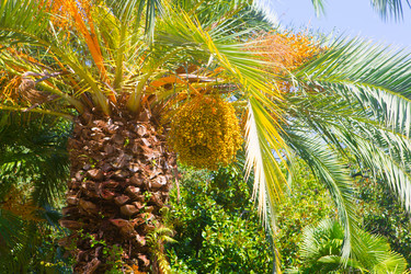 Similar image 21077783