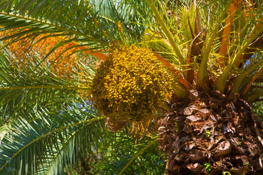 Similar image 21075265