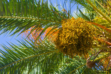 Similar image 21077784