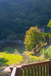 Similar image 21075266