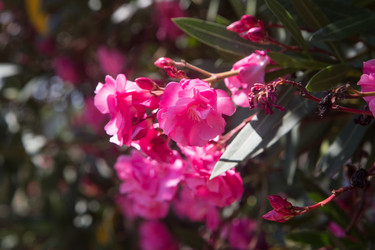 Similar image 21077801