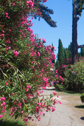 Similar image 21077803