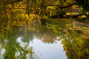 Similar image 21077809