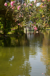 Similar image 21077810