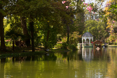 Similar image 21077811