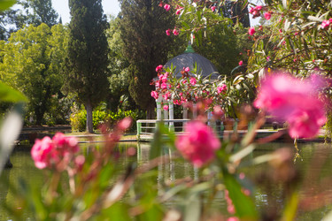 Similar image 21075267