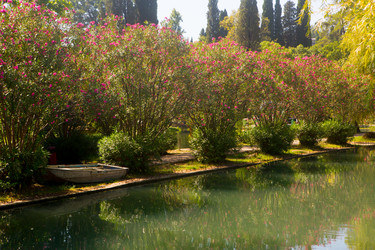 Similar image 21077814