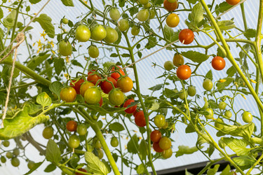 Similar image 21076503