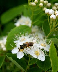 Similar image 21076541