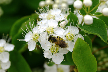 Similar image 21076542