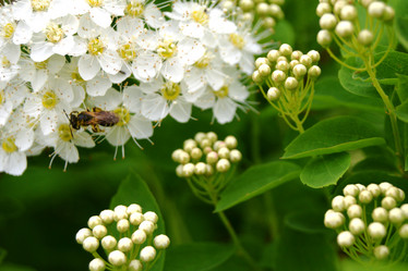 Similar image 21076545