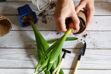 Similar image 21077111