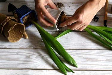 Similar image 21077112