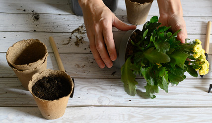 Similar image 21077115