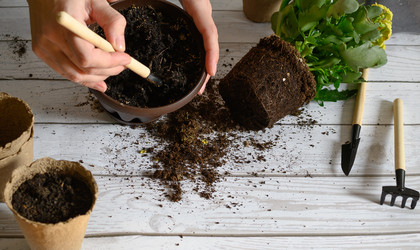 Similar image 21077118