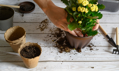 Similar image 21077119