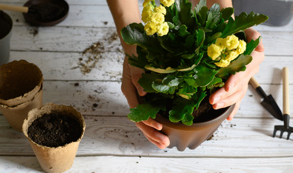 Similar image 21077122