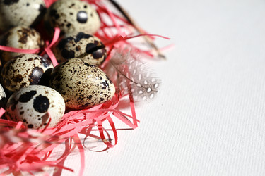 Similar image 21077130