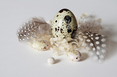 Similar image 21077133