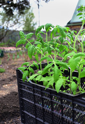 Similar image 21077160