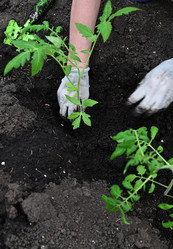 Similar image 21077162