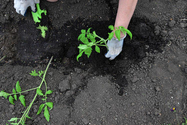 Similar image 21077163