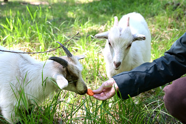 Similar image 21077170