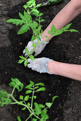 Similar image 21077171