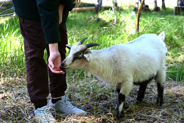 Similar image 21077172