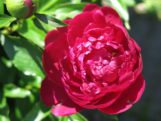 Similar image 21076546