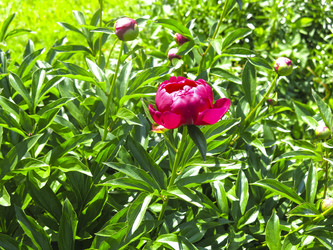 Similar image 21076547