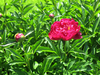 Similar image 21076548