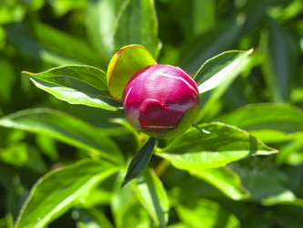 Similar image 21076549