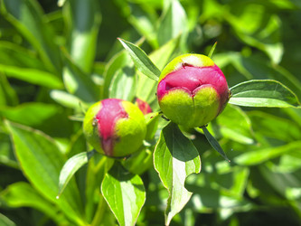 Similar image 21076550