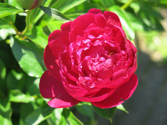 Similar image 21076551