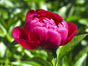 Similar image 21076553