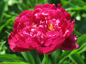 Similar image 21076554