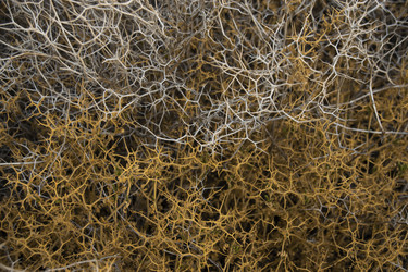 Similar image 21077947