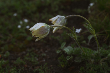 Similar image 21077956