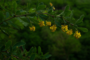 Similar image 21077958