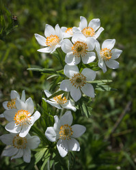 Similar image 21077960