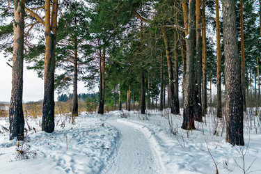 Similar image 21077970